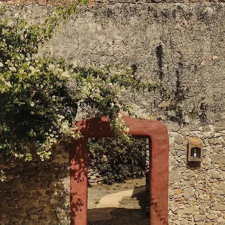 Alma Do Paço