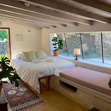 Alma Do Paco Santo Isidoro