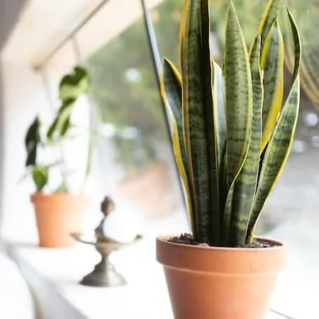 Alma Do Paco Nocleg ze śniadaniem Santo Isidoro