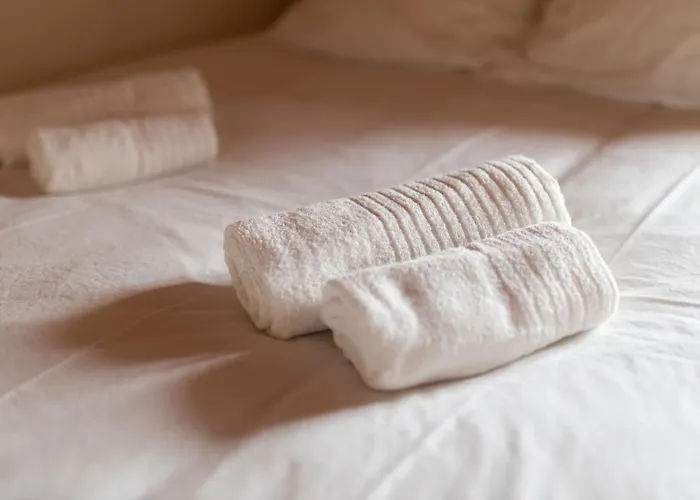 Alma Do Paco Santo Isidoro