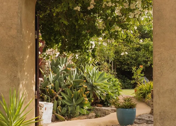 Bed & Breakfast Alma Do Paco