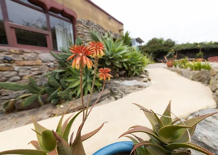 Alma Do Paco Bed & Breakfast Santo Isidoro