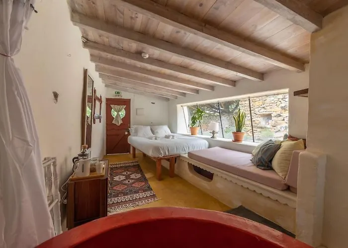 Alma Do Paco Santo Isidoro