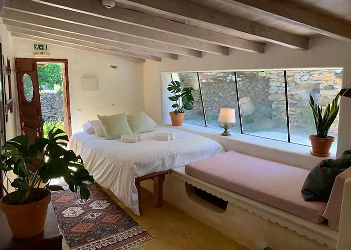 Alma Do Paco Santo Isidoro