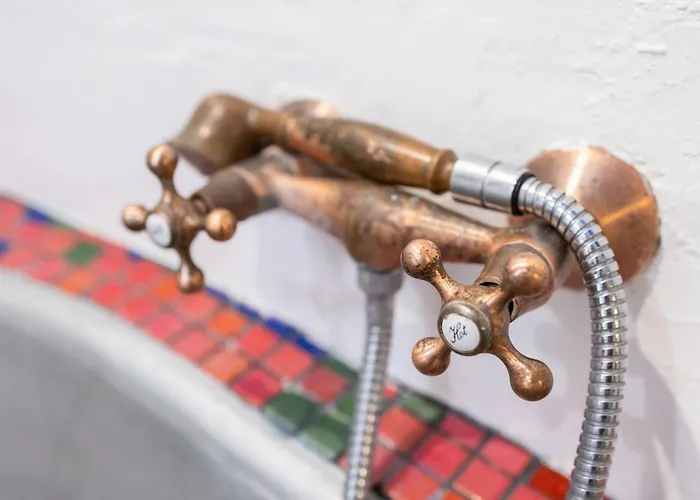 Alma Do Paco Santo Isidoro