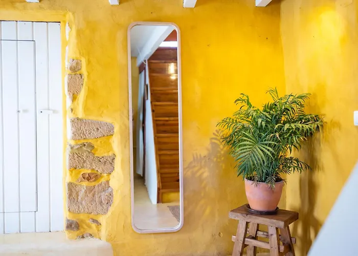 Alma Do Paco Santo Isidoro